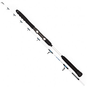 Dragon Boat Master Pilk S.D.R.