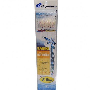 Hayadusa CS Τσαπαρί